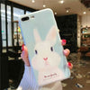 Rabbit Pig Soft TPU Back Cover Case For iPhone X 6 7 8 - Phone Case Evolution